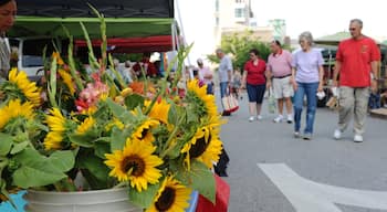 Fayetteville showing markets and flowers