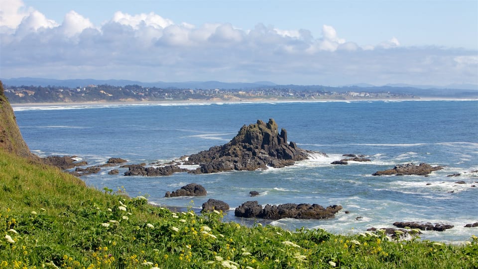 Yaquina Head Light House which includes a coastal town, wildflowers and rugged coastline