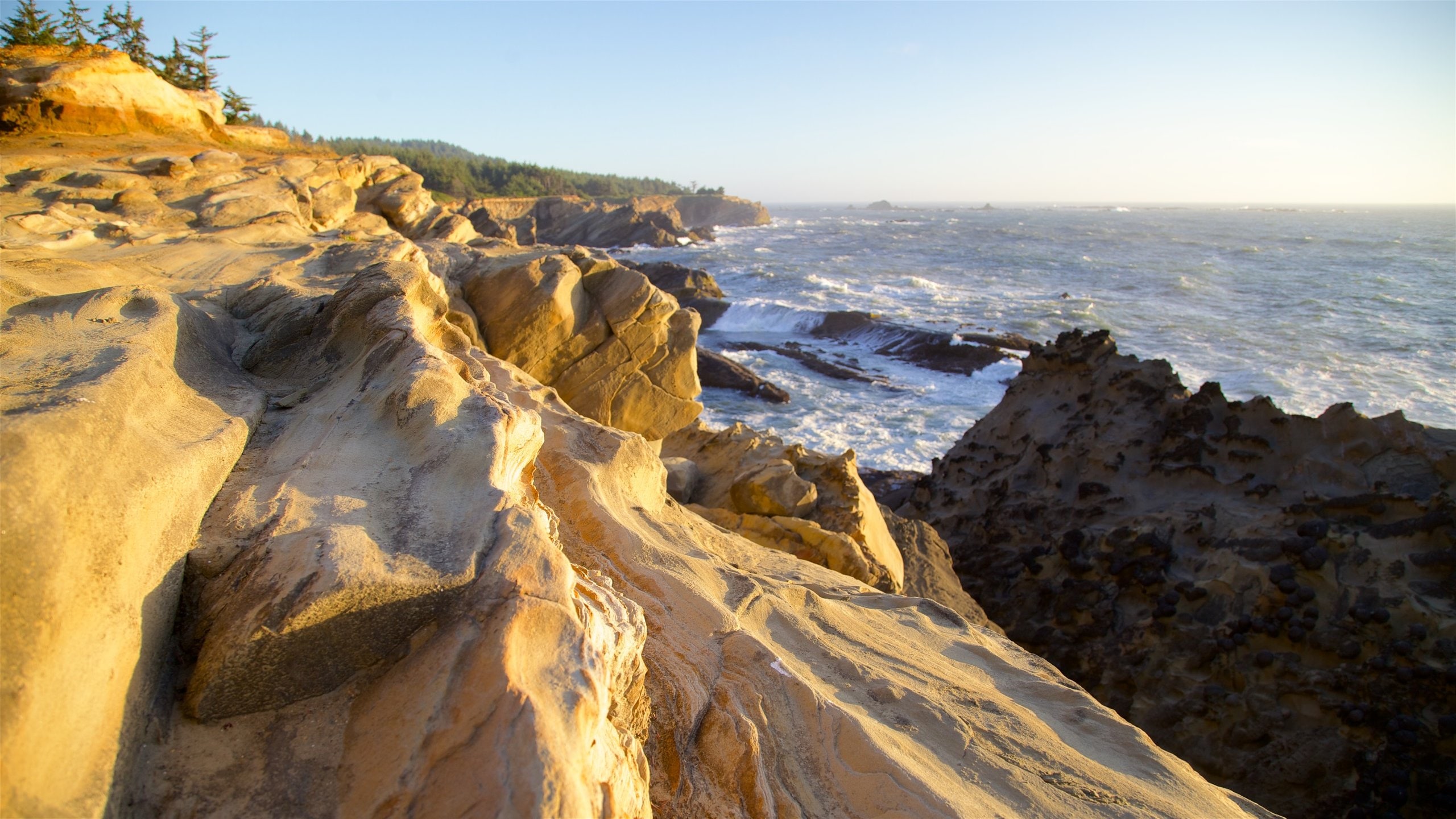 Oregon Coast showing general coastal views, a sunset and rugged coastline