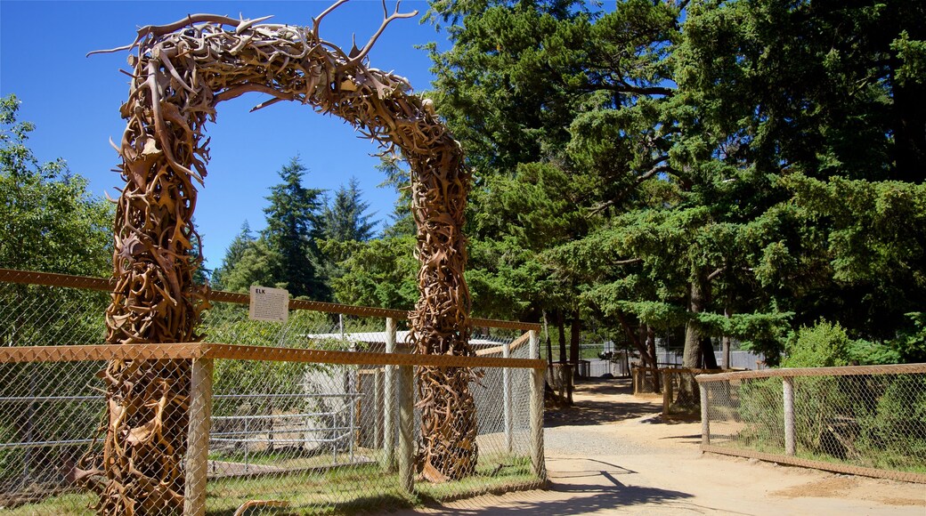 West Coast Game Park Safari which includes a park