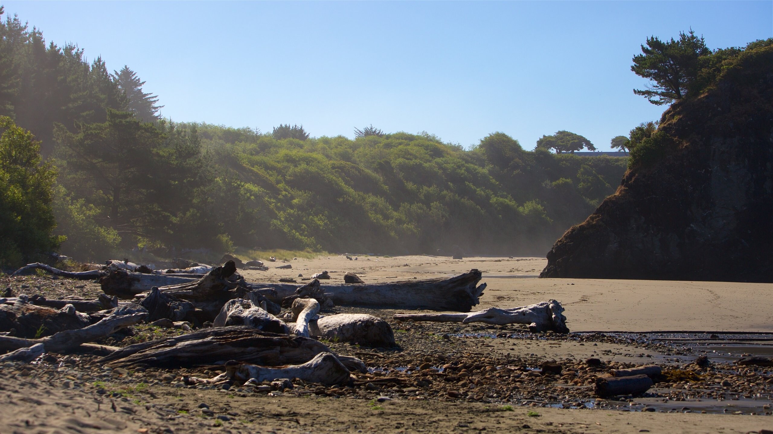 Top 10 Pet Friendly Hotels In Brookings, OR 70 Dog & Cat Friendly Hotels