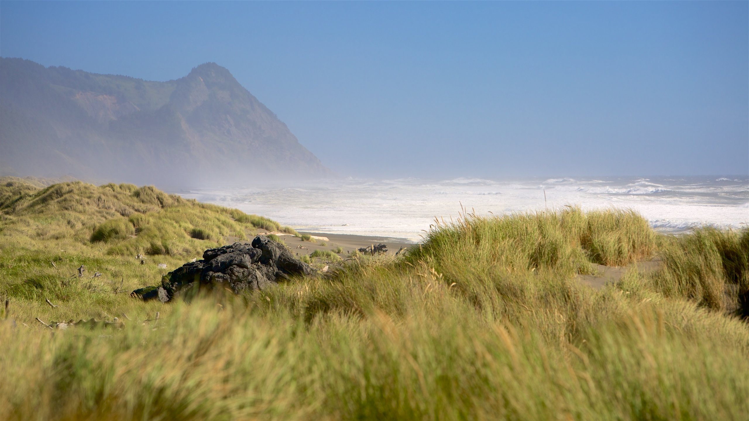 gold-beach-oregon-oregon-coast-road-trip-samuel-h-boardman-state