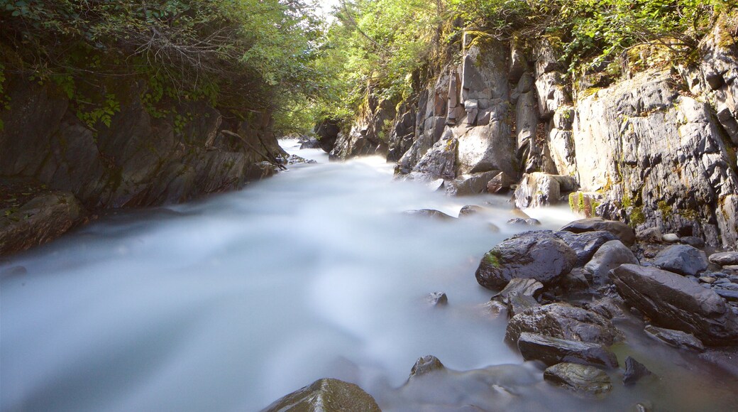 Crow-Creek-Mine welches beinhaltet Fluss oder Bach