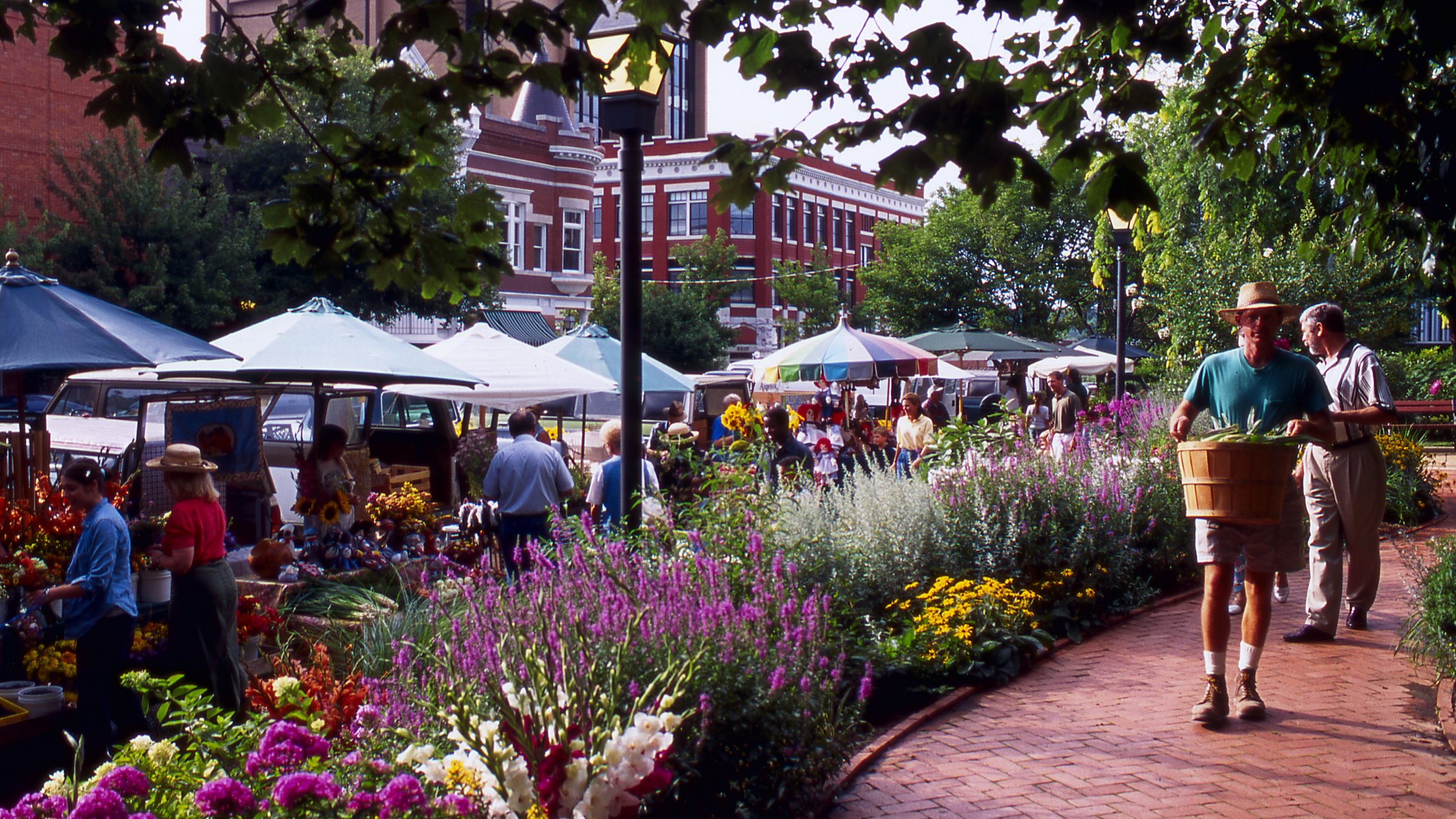 Visit The Fayetteville Farmers Market In Fayetteville Expedia Visit The Fayetteville Farmers Market In Fayetteville Expedia