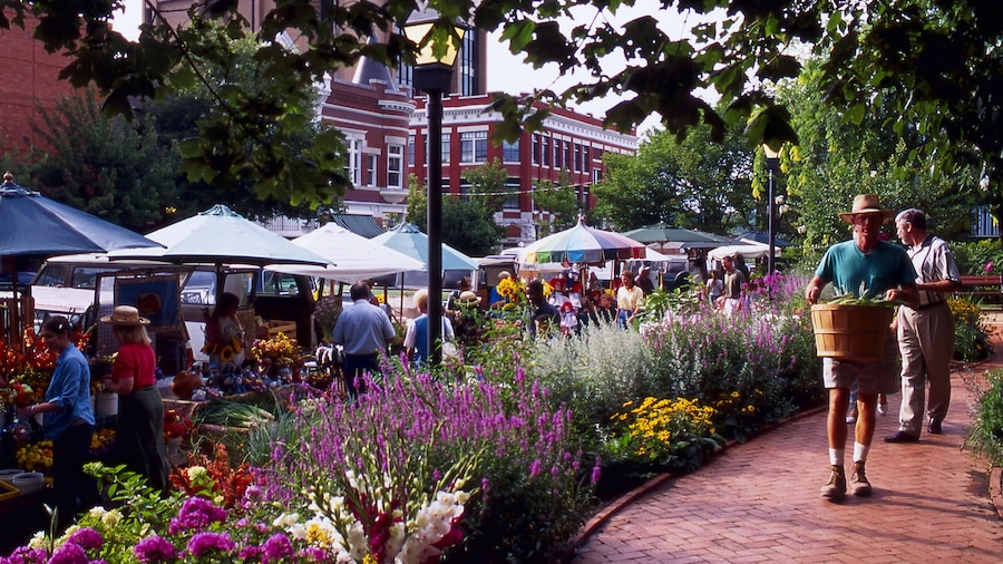 Fayetteville montrant marchés, parc et fleurs