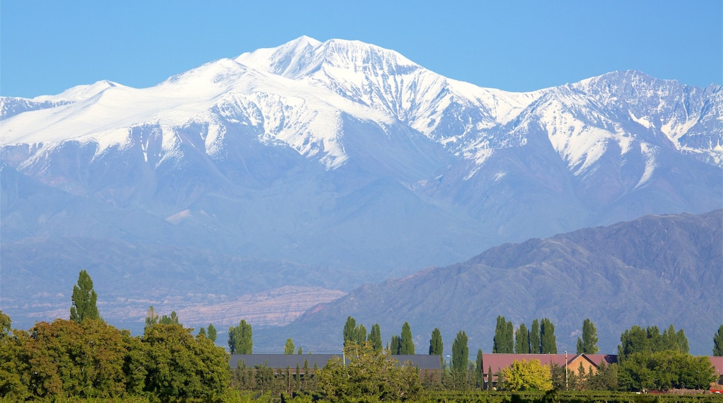 Mendoza vinregion som inkluderer snø, åkre og fjell