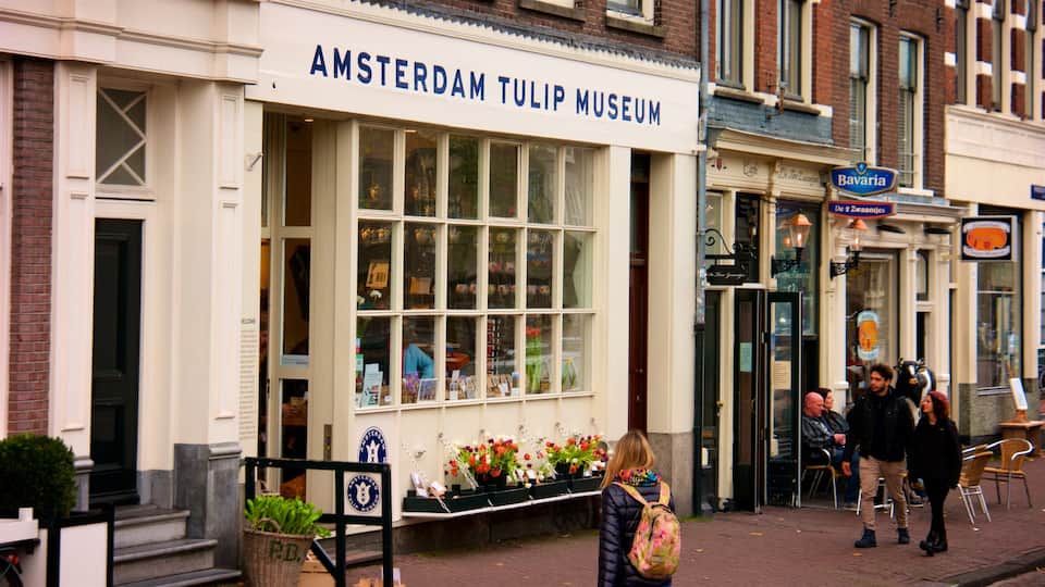 Amsterdam Tulip Museum showing street scenes and signage as well as a small group of people