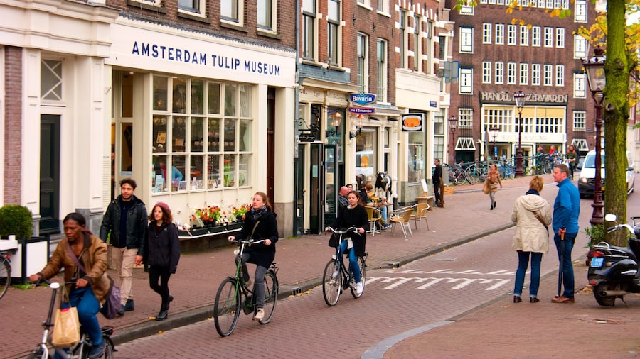 Amsterdam bevat straten, fietsen en een klein stadje of dorpje