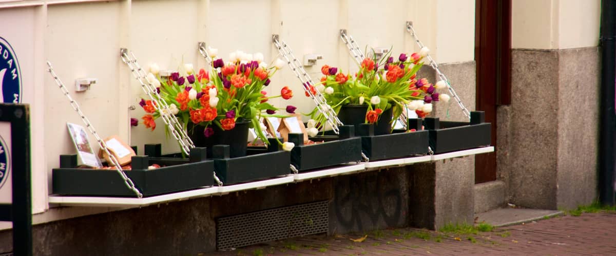 Amsterdam bevat bloemen