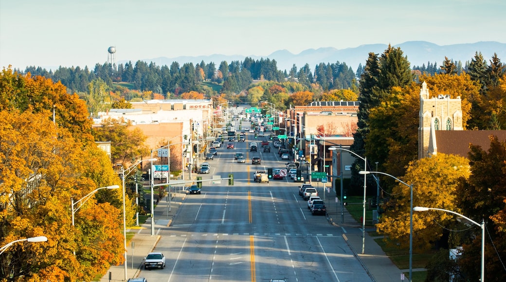 Photo provided by Downtown — Kalispell — Noah Couser