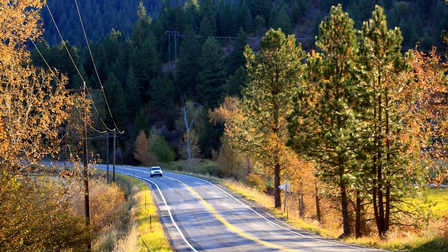 Nordlige Idaho