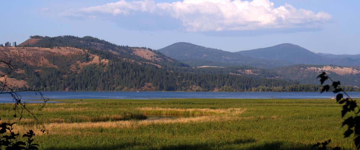 Northern Idaho showing a lake or waterhole