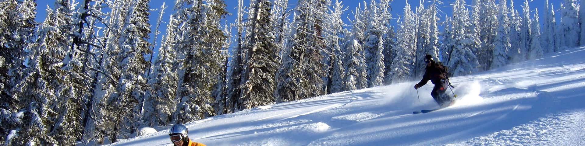 Sandpoint which includes snow skiing
