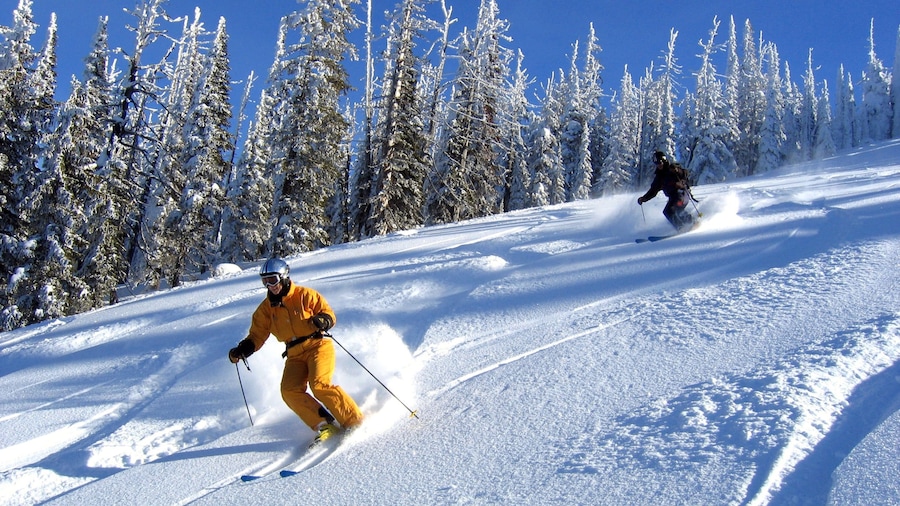 Sandpoint mostrando esquiar en la nieve