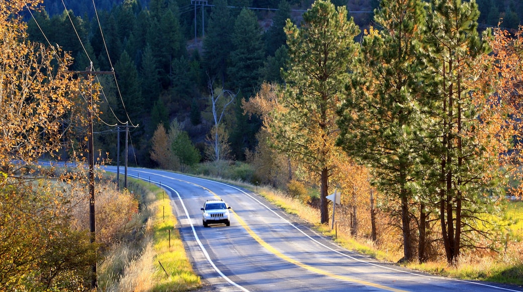 Visit St. Maries 2021 Travel Guide for St. Maries, Idaho Expedia