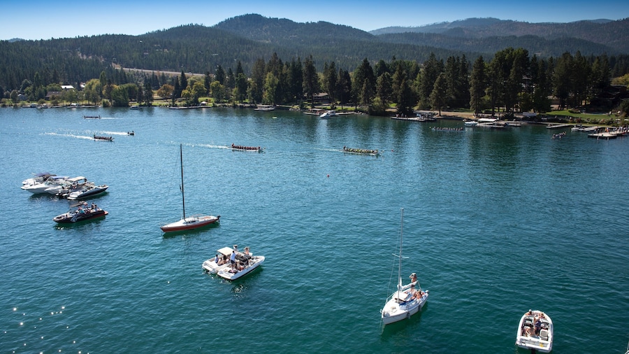 Flathead Lake showing boating and watersports