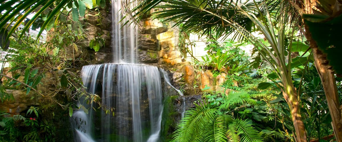 Jardín Botánico Reina Sirikit