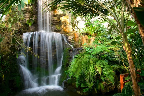 Jardin botanique de la reine Sirikit mettant en vedette chute d\'eau et parc