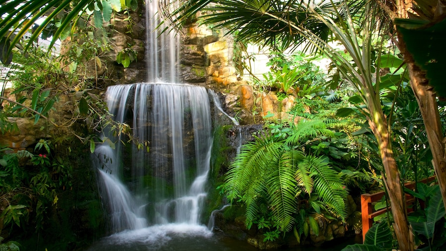 Queen Sirikit Botanical Garden
