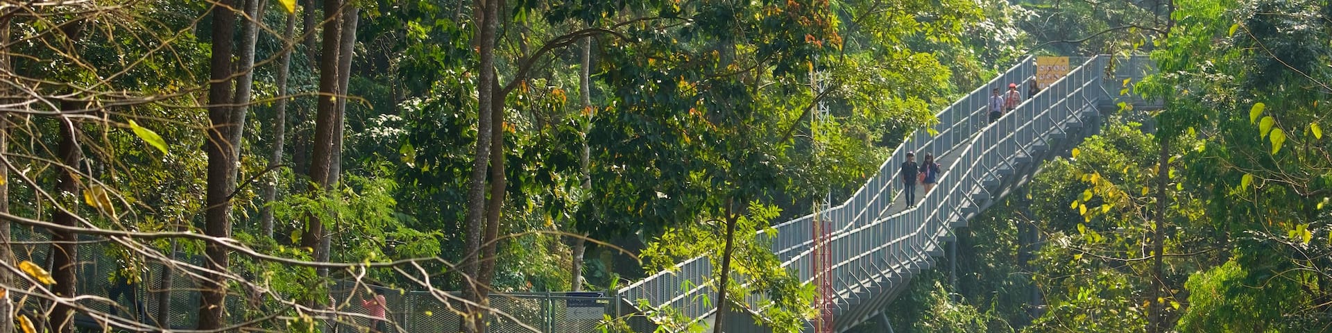 Queen Sirikit Botanical Garden