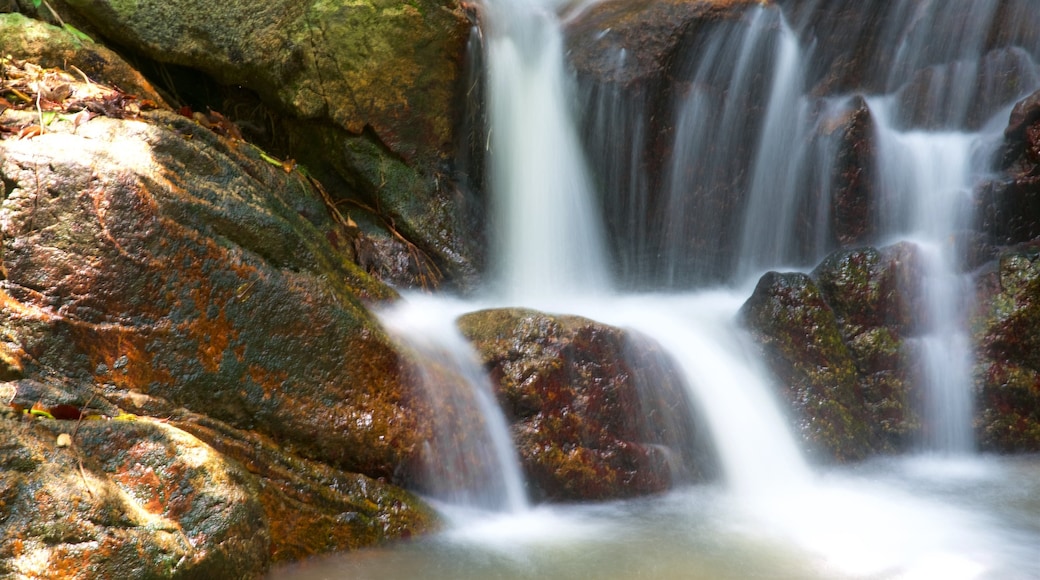 Cascada de Namuang mostrando una cascada