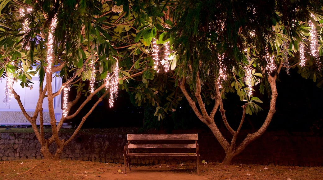 Old Phuket Town which includes a park