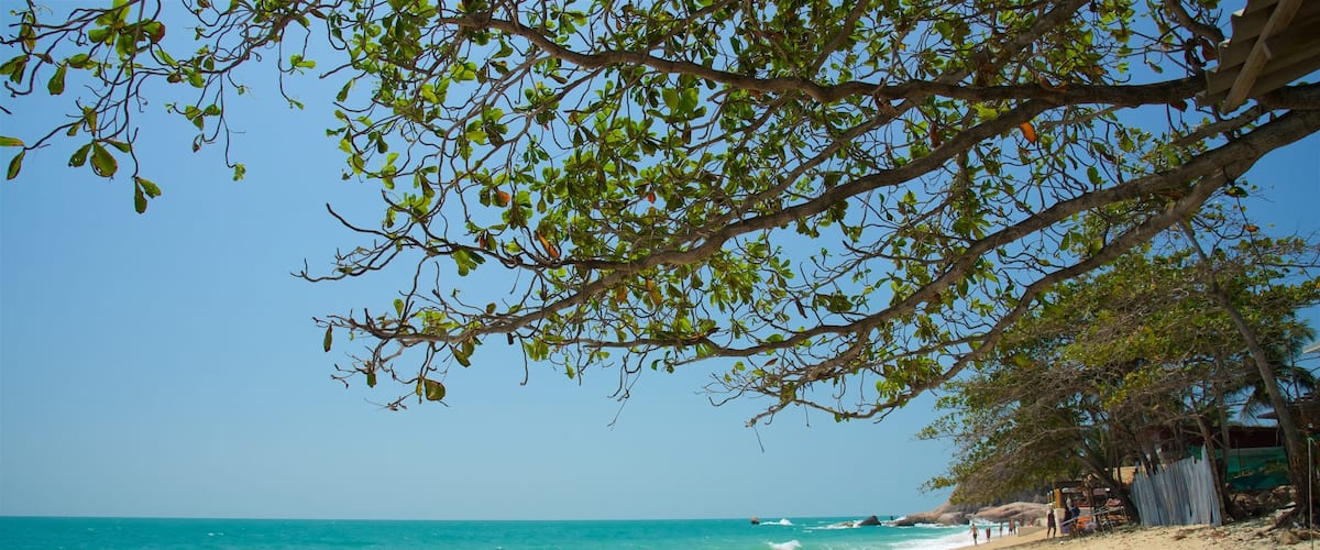 Plage de Lamai montrant vues littorales, plage et vagues