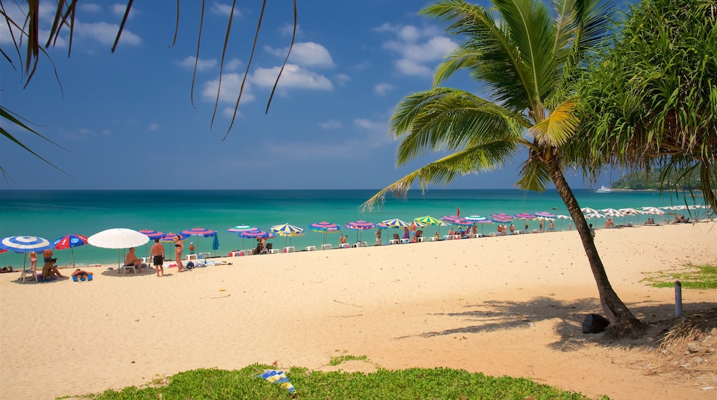 Surin showing tropical scenes, general coastal views and a beach