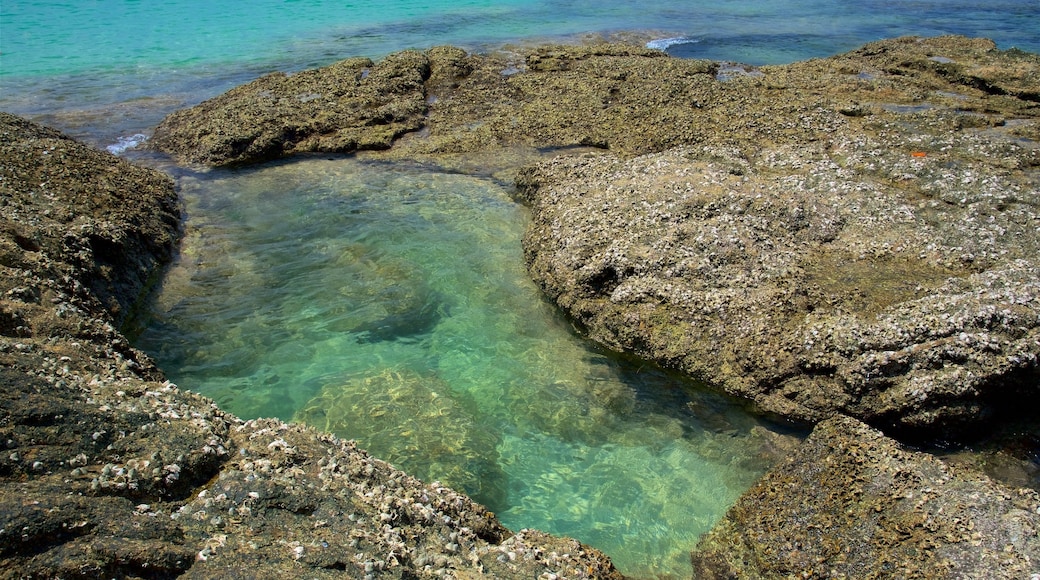 Playa Surin mostrando una bahía o puerto y costa rocosa