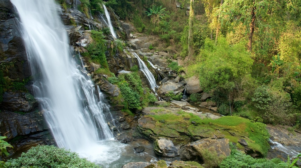 Doi Inthanon National Park which includes a waterfall and forests