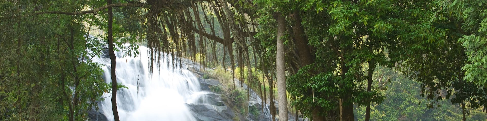 Parc national de Doi Inthanon mettant en vedette paysages en forĂȘt et une cascade aussi bien que un petit groupe de personnes