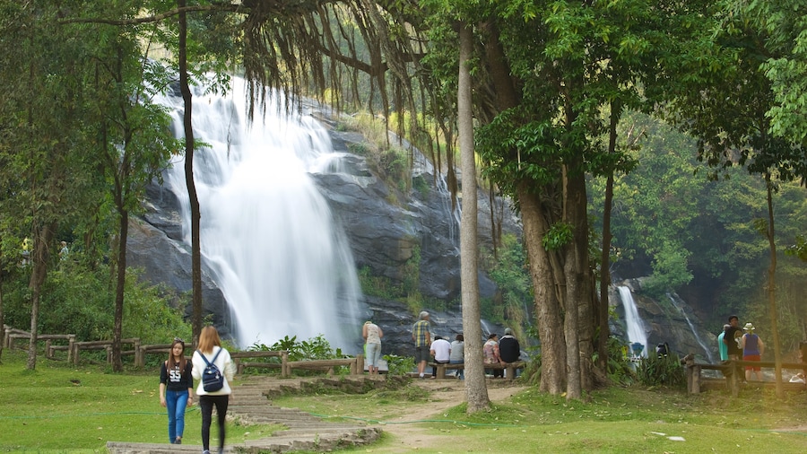 Doi Inthanon National Park showing forests and a cascade as well as a small group of people