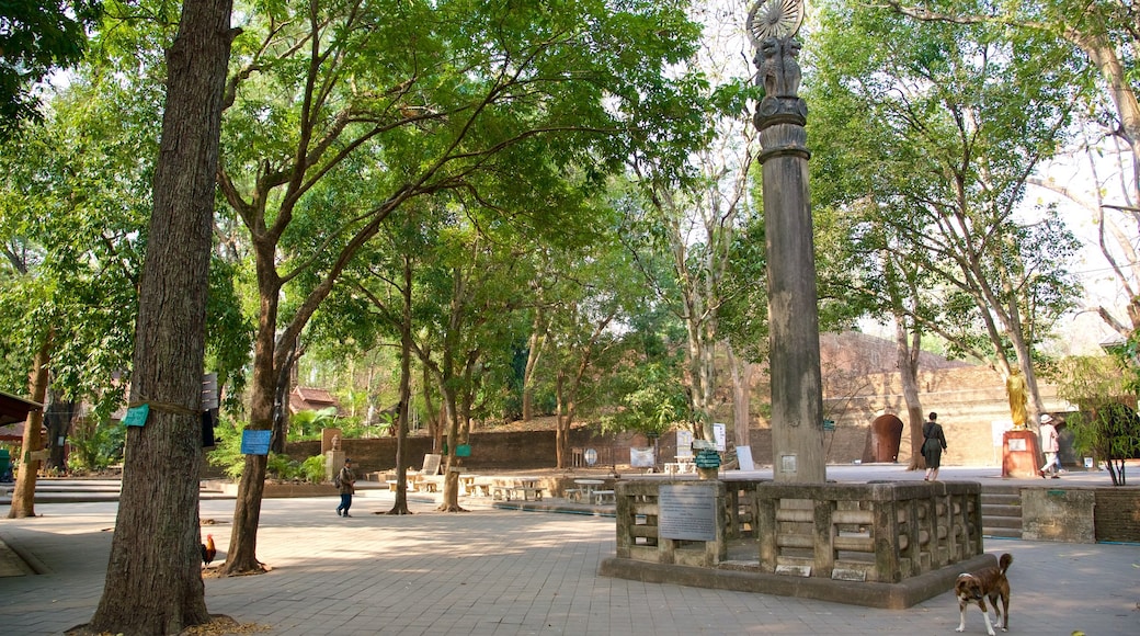 Wat Umong mostrando um jardim e uma praça ou plaza