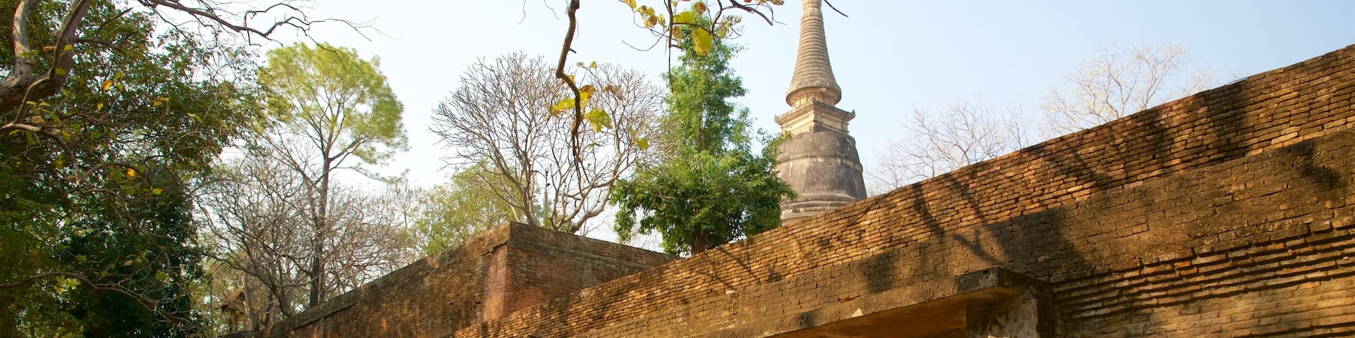 Wat Umong featuring a temple or place of worship as well as an individual male