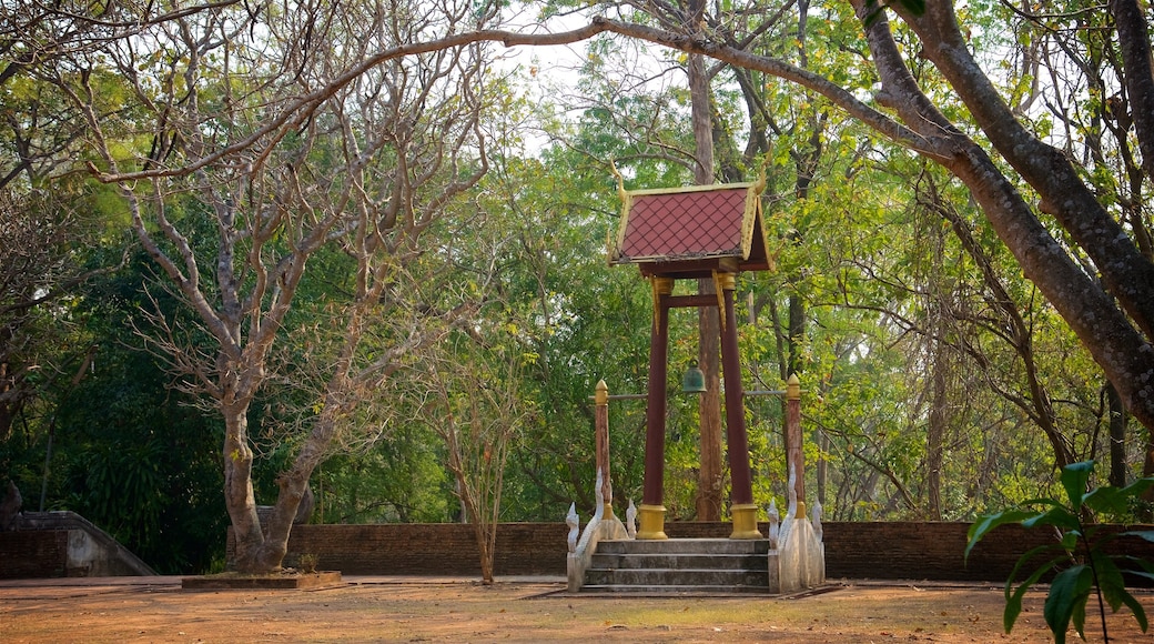 Wat Umong which includes a square or plaza and a garden