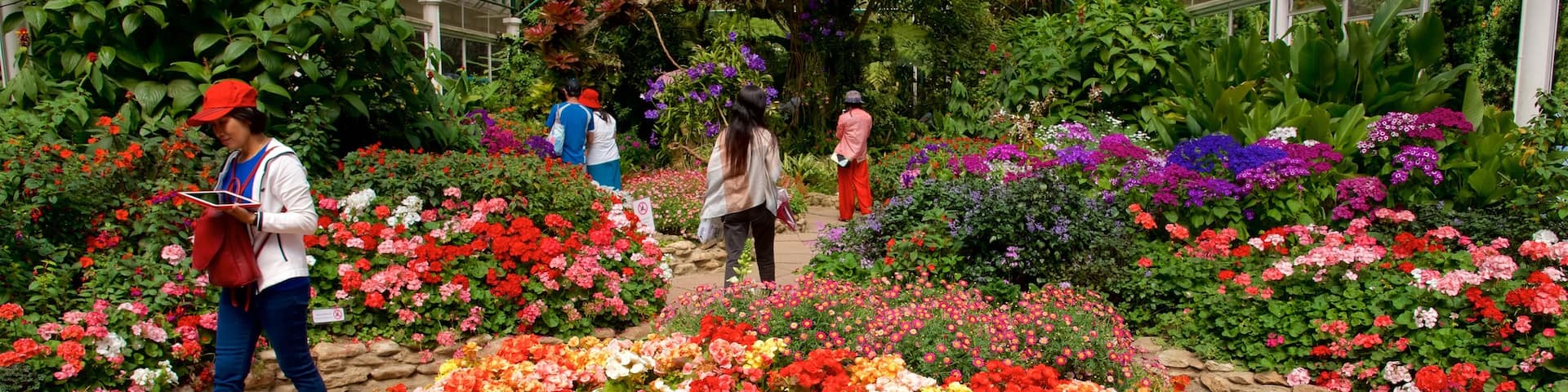 Bhuping Palace which includes interior views, flowers and a garden