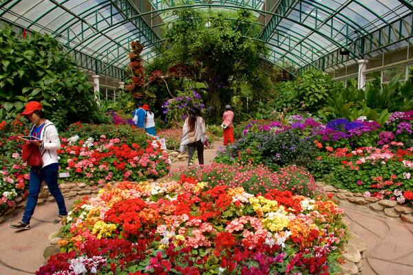 Bhuping Palace montrant jardin, vues intérieures et fleurs