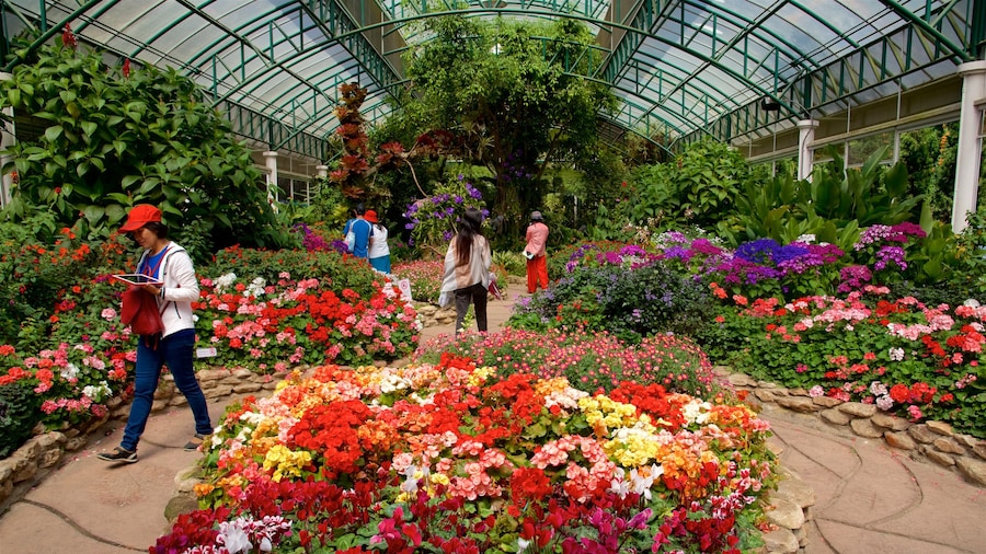 Bhuping Palads som viser en have, blomster og interiør