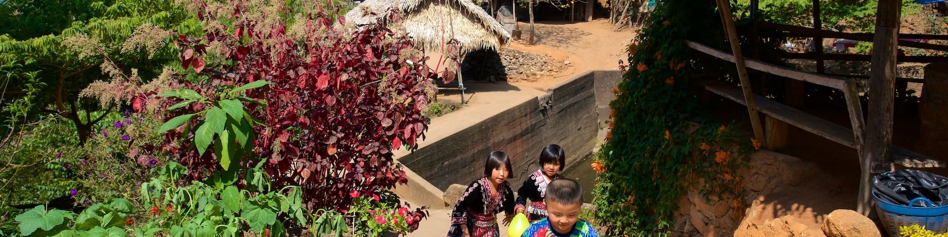 Doi Suthep-Pui National Park featuring a park as well as children