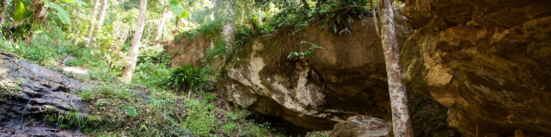 Doi Suthep-Pui National Park featuring a park