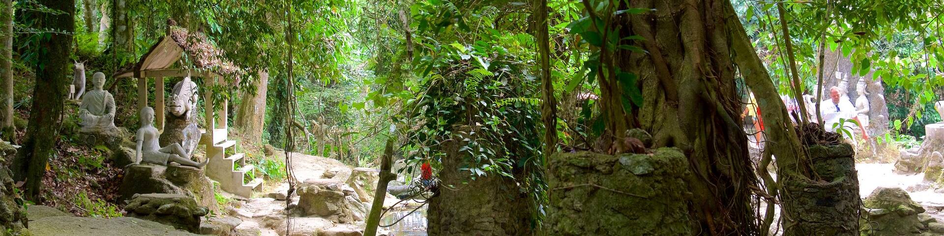 Secret Buddha Garden showing a park and a statue or sculpture
