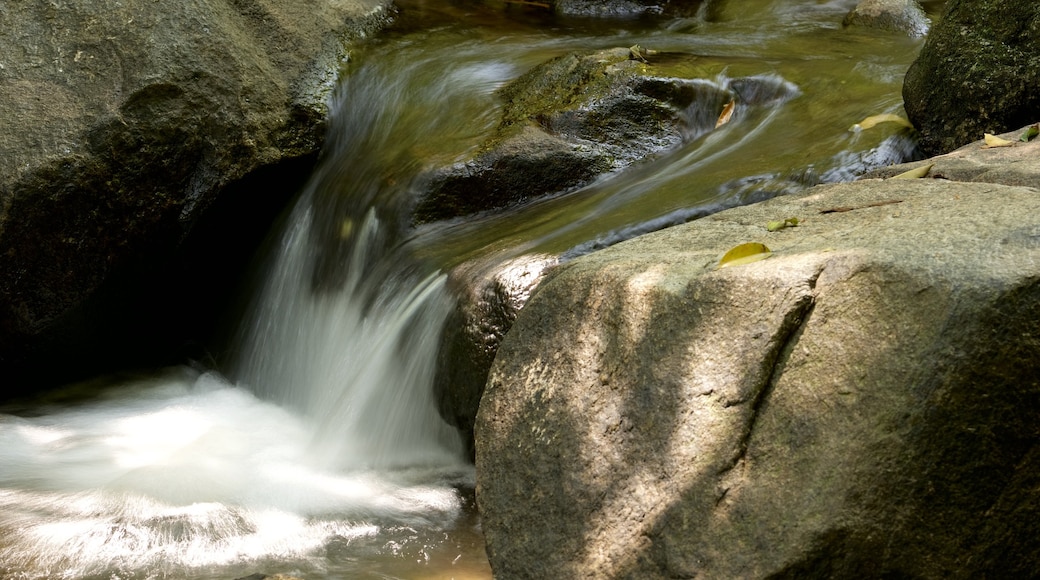 Bang Pae-waterval toont een rivier of beek