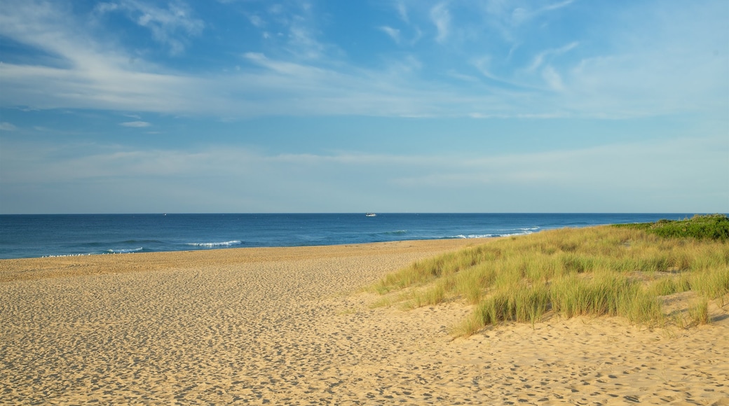 Lakes Entrance showing a sandy beach and a bay or harbour