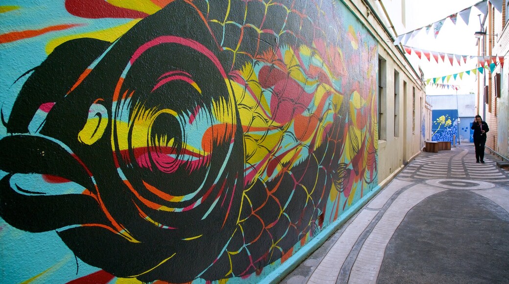 Warrnambool qui includes scĂšnes de rue et art en plein air