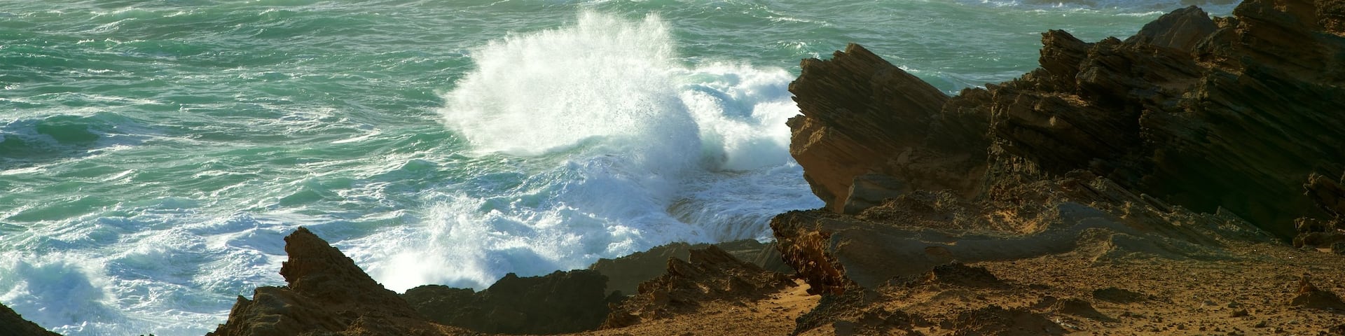 Pickering Point Lookout showing general coastal views, rocky coastline and mist or fog