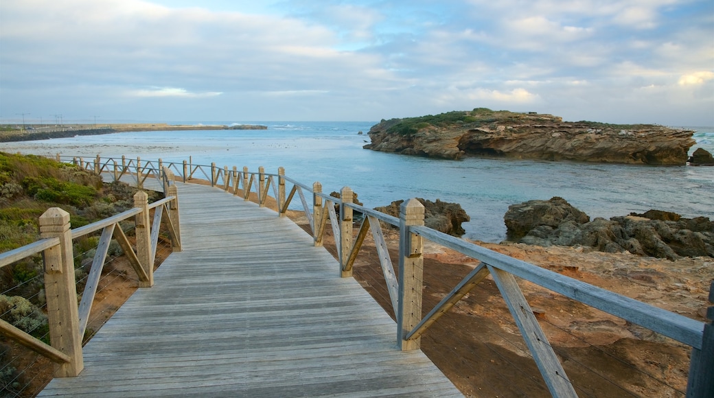 Warrnambool showing rocky coastline and a bay or harbour