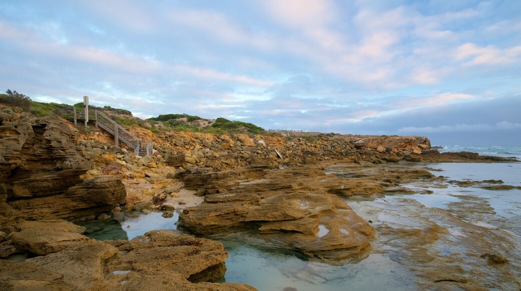 Warrnambool mettant en vedette baie ou port et cĂŽte rocheuse