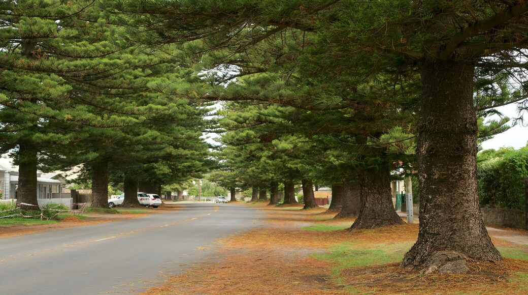 Port Fairy mettant en vedette scènes de rue