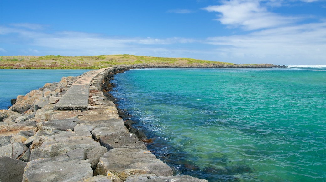 Griffiths Island Lighthouse featuring rugged coastline