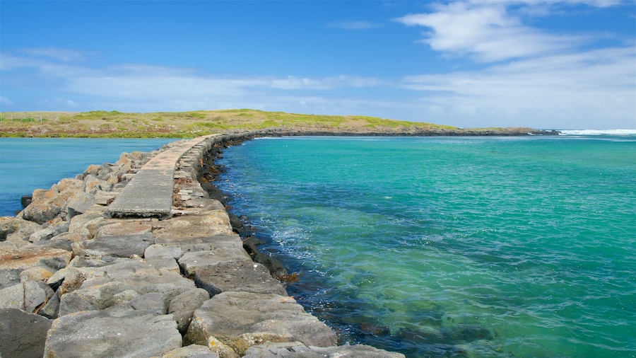 Griffiths Island Lighthouse bevat ruige kustlijn